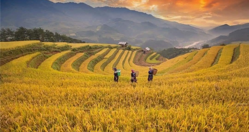 Ha Noi - Mu Cang Chai 2 Days 1 Night
