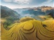Ha Noi - Mu Cang Chai 2 Days 1 Night