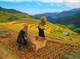 Ha Noi - Mu Cang Chai 2 Days 1 Night
