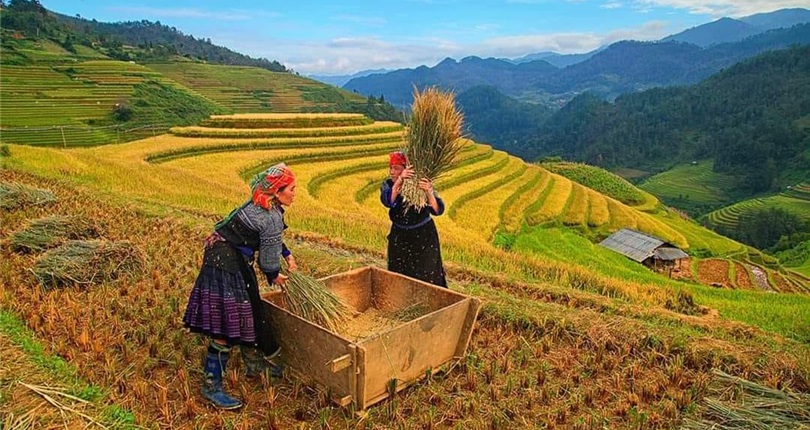 Ha Noi - Mu Cang Chai 2 Days 1 Night